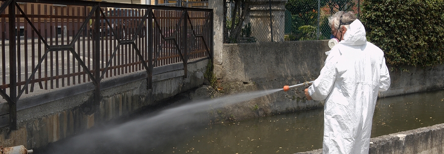 disinfestazione